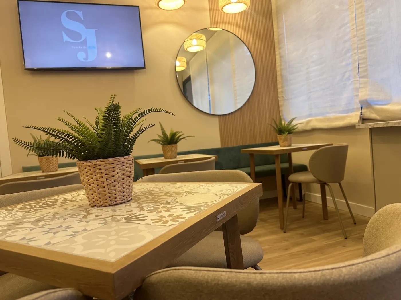 Hydraulic-tile table with a plant in the breakfast room